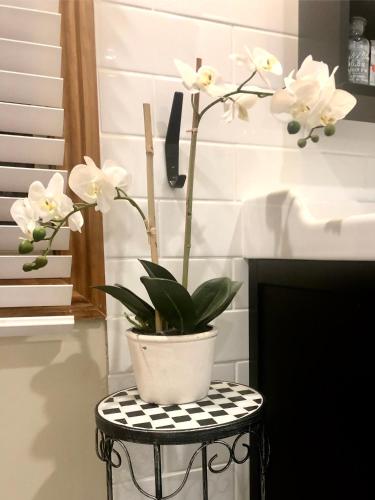 SEAeSCAPE Apollo Bay - Accommodation Directory 4