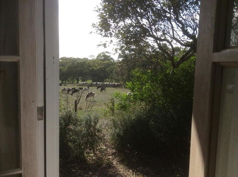 Aashay B & B - Accommodation Directory 3