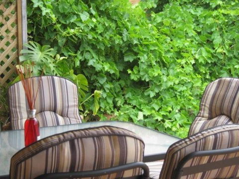 Amalie Cottage Waikerie Unit 1 - Accommodation Directory 6