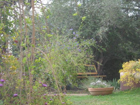 Amalie Cottage Waikerie Unit 1 - Accommodation Directory 5