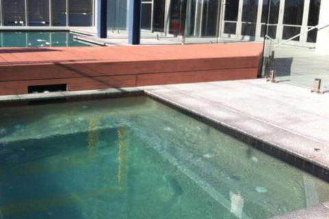 Azul Del Mar - Accommodation Directory 5