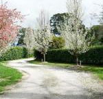 Robin Hill Manor rambling retreat  tennis court - Accommodation Directory