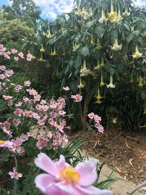 Adelaide Hills B & B Accommodation - Accommodation Directory 6