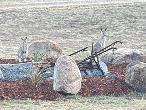 R & R On The Ravine - Accommodation Directory 5