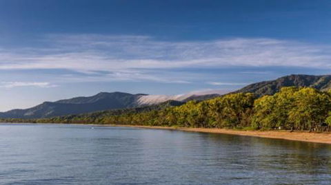 RED COWRIE 321atPALM COVE - Accommodation Directory 3