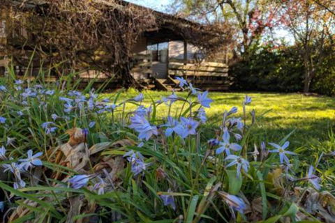 Alexander Cottage - Accommodation Directory 3