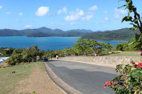 Oasis 25 Hamilton Island - Accommodation Directory 5