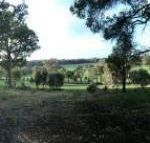 Chandeliers on Abbey