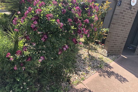 Apple House - Accommodation Directory 1