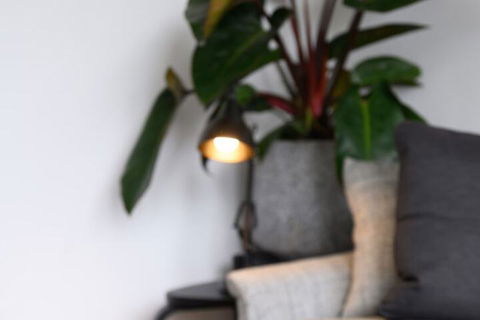 Adderley A Striking 1880s Restored Victorian - Accommodation Directory 3