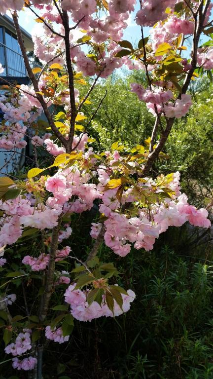 Beezneez B & B - Accommodation Directory 5