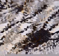 Discover Classic Rocks - Accommodation Directory