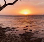 Paradise Beach Apartments - Accommodation Directory