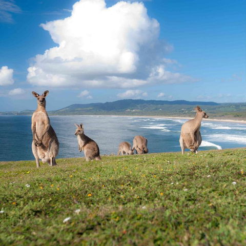 FAMILY ISLAND GETAWAY BEACHFRONT APARTMENT - Accommodation Directory 4