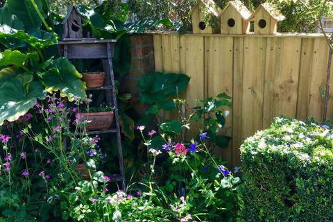 Aggies Bed & Breakfast - Accommodation Directory 7