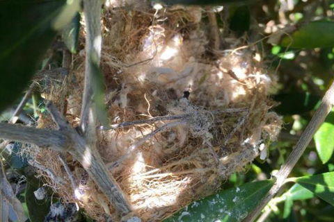 Aggies Bed & Breakfast - Accommodation Directory 2