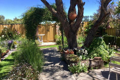 Aggies Bed & Breakfast - Accommodation Directory 5