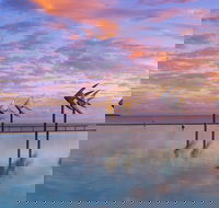Global Backpackers Cairns - Accommodation Directory