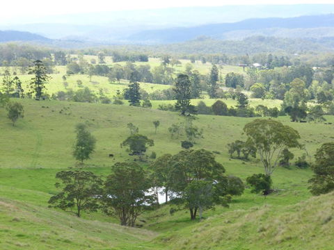 Anduramba Homestead B & B - Accommodation Directory 4