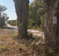 COONARR BEACH  BUNDABERG CAMPING - Accommodation Directory