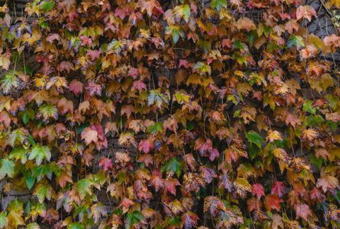 Killiorra - Accommodation Directory 1