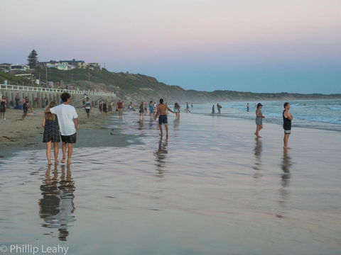 Alices Palace 2 Minute Walk To Lifeguard Patrolled Surf Beach - Accommodation Directory 4