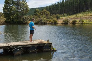 Nannup Valley Chalets - Accommodation Directory 1