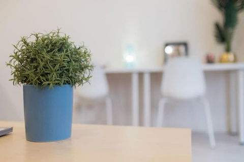 Willis Wolli Crk 35 - Accommodation Directory 3