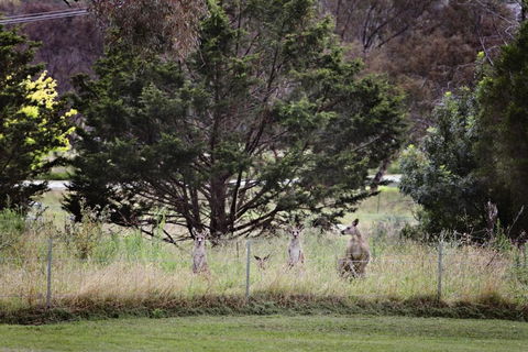 BATHURST GOLDFIELDS MOTEL On MOUNT PANORAMA - Accommodation Directory 6
