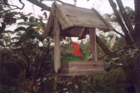 Arcadia Cottage - Accommodation Directory 2
