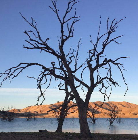 Burnt Creek Cottages Mansfield - Accommodation Directory 2