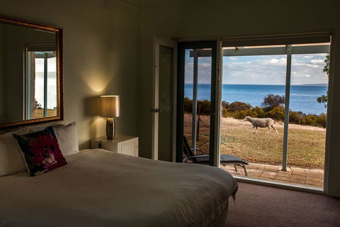 Antechamber Bay Retreats - Accommodation Directory 4