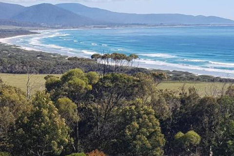 Bicheno S Ocean View Retreat - Accommodation Directory 0