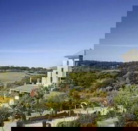 Morning Sun Vineyard