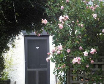 Ivy On Glenelg - Accommodation Directory 0