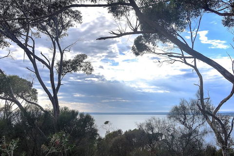 Wanderers Rest Of Kangaroo Island - Accommodation Directory 7