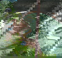 Palms at Trinity - Accommodation Directory