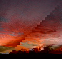 City Centre Motel - Accommodation Directory