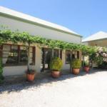 Daisy Cottage - Accommodation Directory 1