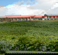 Turners Vineyard Motel and Function Centre - Accommodation Directory