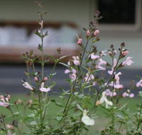 Serendipity on Allyn - Accommodation Directory