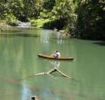 Figtree Getaway - Accommodation Directory