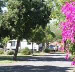 BIG 4 Hay - Accommodation Directory