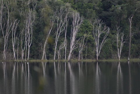 Mary Valley Views B + B - Accommodation Directory 4