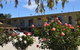 Big River Motel - thumb 0