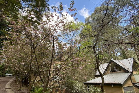 Lochiel Luxury Accommodation - Accommodation Directory 4