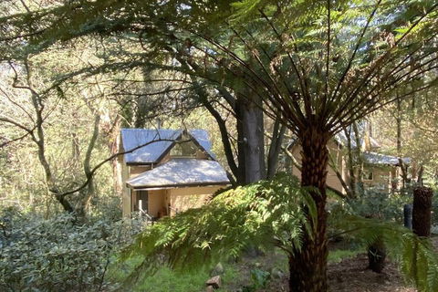 Lochiel Luxury Accommodation - Accommodation Directory 2