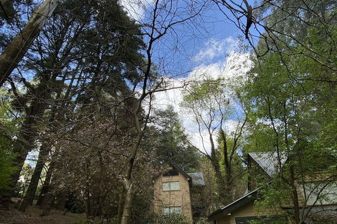 Lochiel Luxury Accommodation - Accommodation Directory 3