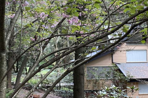 Lochiel Luxury Accommodation - Accommodation Directory 5