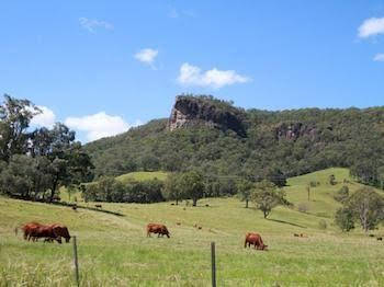 Rosevale House - Accommodation Directory 0